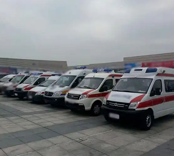 金平服务车队展示